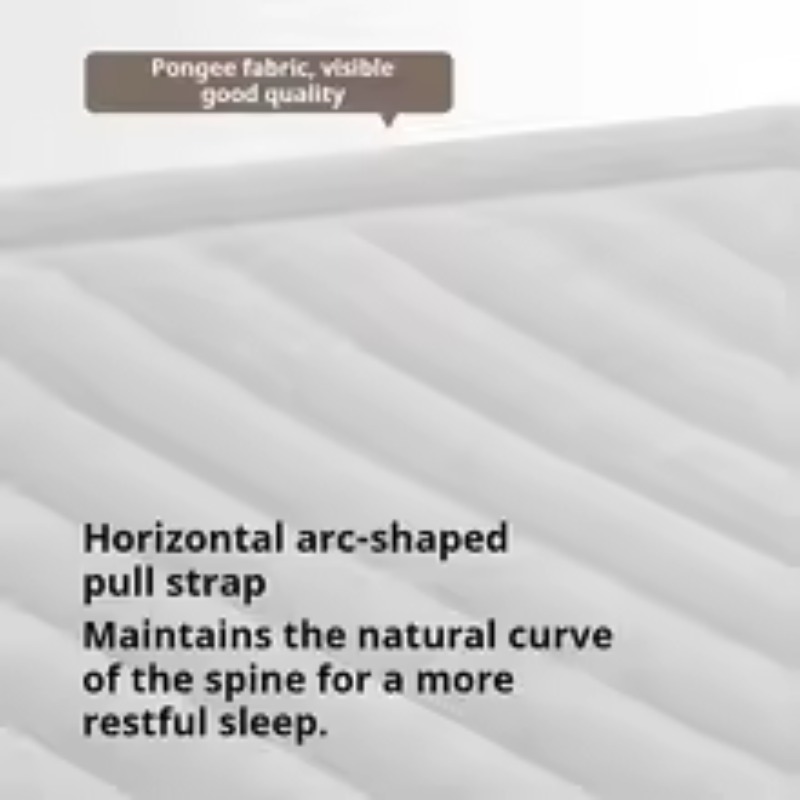 Inflatable Air Mattress Built- - Tech Queen recension och pris